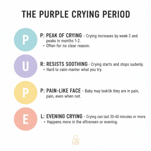 PURPLE crying period chart explaining peak and unpredictable baby crying phases